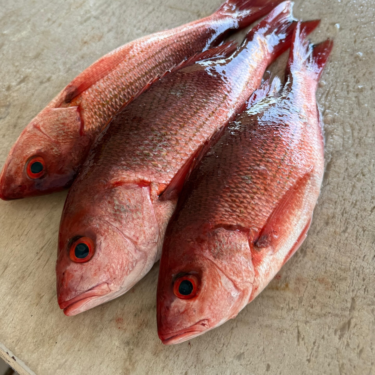Tres pescados frescos sobre mesa